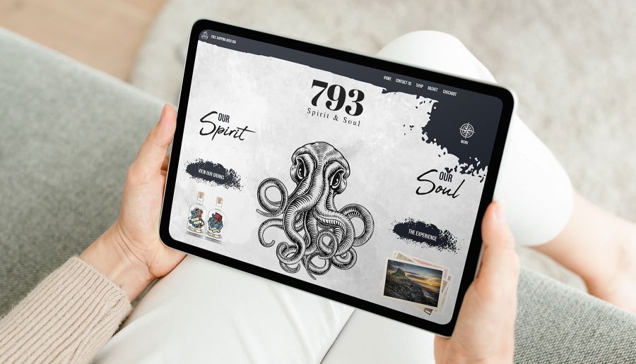 image of person holding a tablet looking at 793 spirits